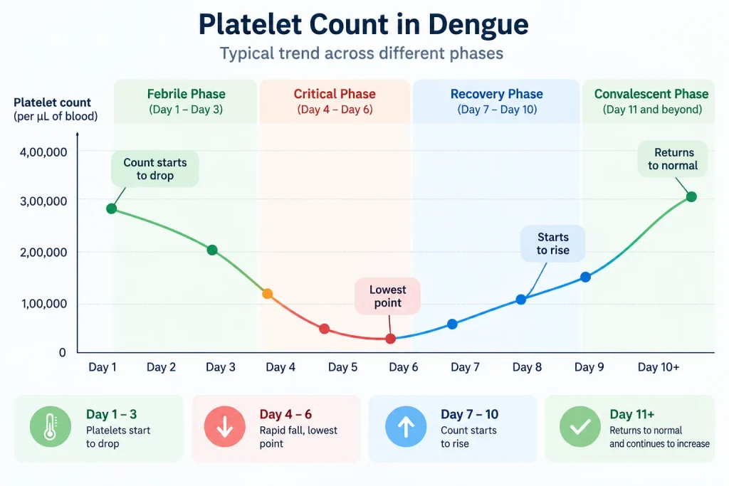 Dengue platelet count day by day showing the fall and recovery phases